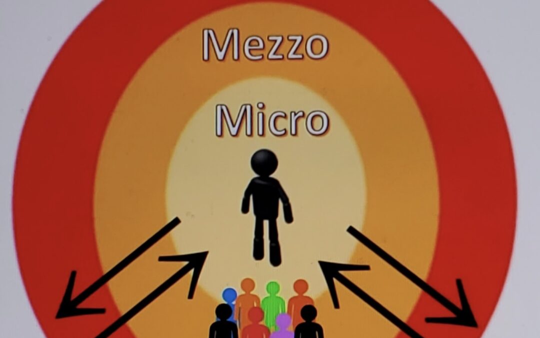 Macro, Mezzo, and Micro Wellness