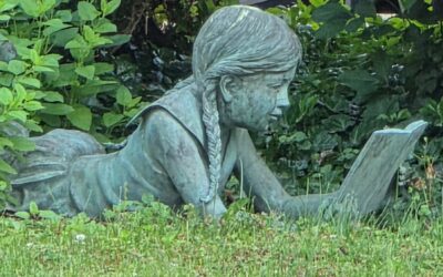 Calming Dysregulation